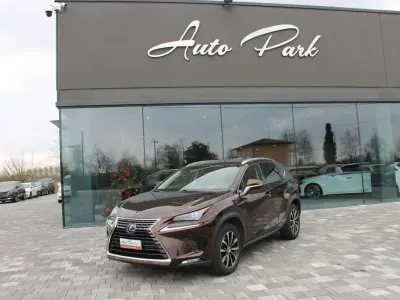 Usata Lexus NX300h 155 CV (114 kW) 2018 Grigio SUV