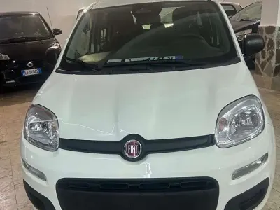Nuova Fiat Panda Icon 65 CV (47 kW) 2026 Bianco Utilitaria