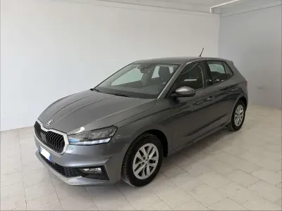 Usata Skoda Fabia