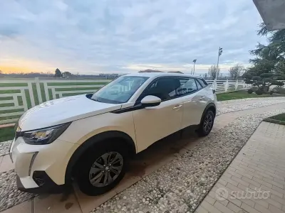 Usata Peugeot 2008 110 CV (80 kW) 2021 Bianco SUV
