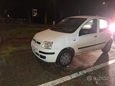 Usata Fiat Panda 75 CV (55 kW) 2008 Bianco Utilitaria