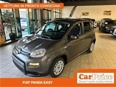 usata Fiat Panda Panda 1.0 FireFly 70CV Hyb.+ P. Comfort e Ruotino