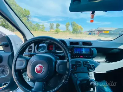 Usata Fiat Panda 85 CV (62 kW) 2014 Bianco Utilitaria
