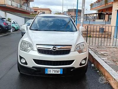 Usata Opel Antara Cosmo 163 CV (119 kW) 2012 Bianco SUV