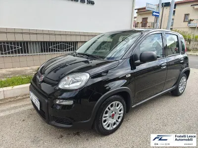 Usata Fiat Panda
