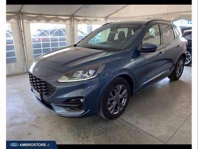 usata Ford Kuga 1.5 ecoblue st-line 2wd 120cv