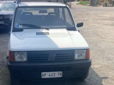 Usata Fiat Panda 4x4 54 CV (39 kW) 1997 Bianco Utilitaria