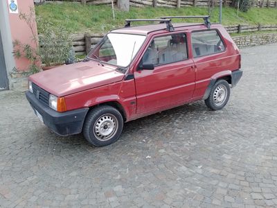 usata Fiat Panda 1100 i.e. cat Young