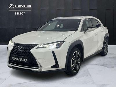 Bianco Usata 2020 Lexus UX 250h Executive Line SUV | 20.700 € (Buon prezzo)