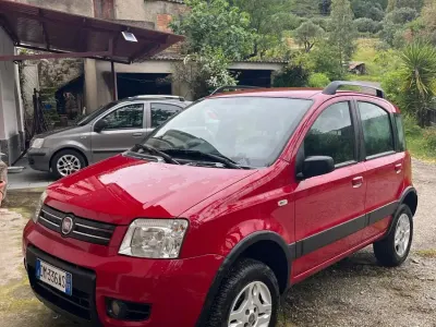 Usata Fiat Panda 4x4 69 CV (50 kW) 2008 Rosso Utilitaria