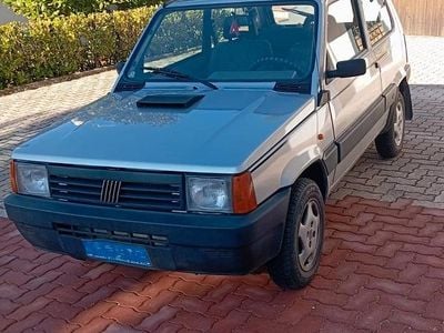 Usata Fiat Panda 4x4 54 CV (39 kW) 2002 Grigio Utilitaria