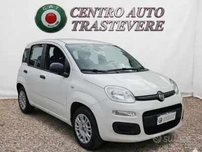 Usata Fiat Panda Easy 69 CV (50 kW) 2020 Bianco Utilitaria