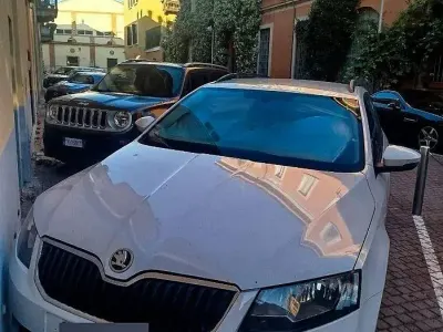 Usata Skoda Octavia 105 CV (77 kW) 2014 Bianco Station wagon