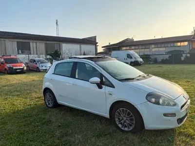 Usata Fiat Punto Evo Dynamic 75 CV (55 kW) 2012 Bianco Utilitaria