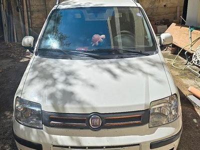 Usata Fiat Panda 77 CV (56 kW) 2009 Bianco Utilitaria