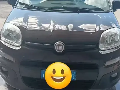 Usata Fiat Panda 69 CV (50 kW) 2012 Utilitaria