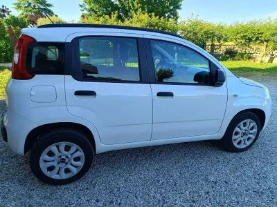Usata Fiat Panda 84 CV (61 kW) 2013 Utilitaria