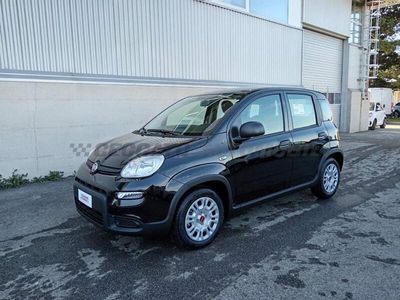 usata Fiat Panda My24 1.0 70cv Hybrid