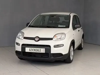 Usata Fiat Panda