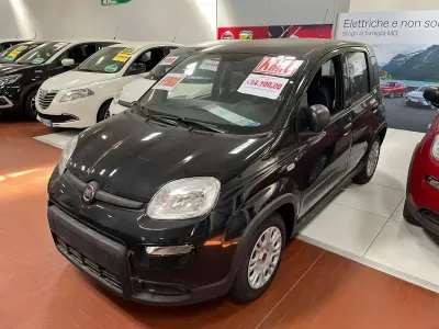 Usata Fiat Panda S 69 CV (50 kW) 2024 Nero Utilitaria