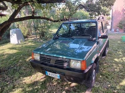Usata Fiat Panda 4x4 Trekking 54 CV (39 kW) 2002 Verde Utilitaria