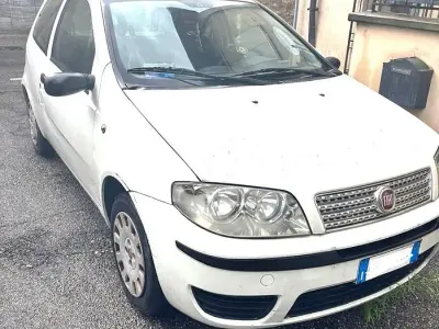 Usata Fiat Punto 60 CV (44 kW) 2009 Bianco Utilitaria