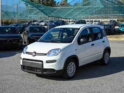Nuova Fiat Panda Icon 69 CV (50 kW) 2025 Bianco Utilitaria