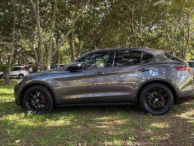 Usata Alfa Romeo Stelvio Executive 190 CV (139 kW) 2020 SUV