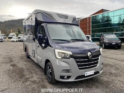 usata Renault Master AMELINE 165 CV 5 POSTI XXL HORSE BOX LIGHT PACK RE