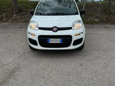 Usata Fiat Panda 85 CV (62 kW) 2015 Bianco Utilitaria