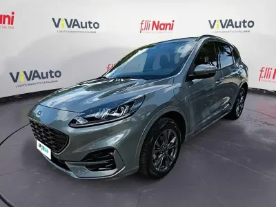 Usata Ford Kuga ST-Line 225 CV (165 kW) 2023 Grigio SUV