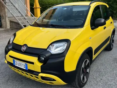 Usata Fiat Panda Cross Cross 69 CV (50 kW) 2020 Utilitaria