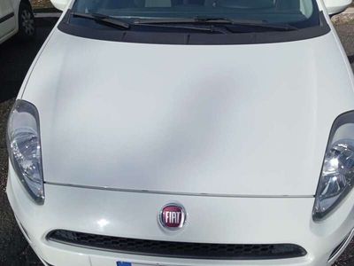 usata Fiat Punto 5p 1.4 natural power Street 70cv E6