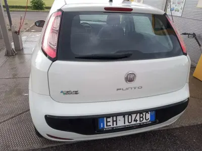 Usata Fiat Punto Evo