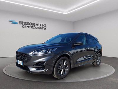 Usata Ford Kuga ST-Line 150 CV (110 kW) 2023 Magnetic SUV