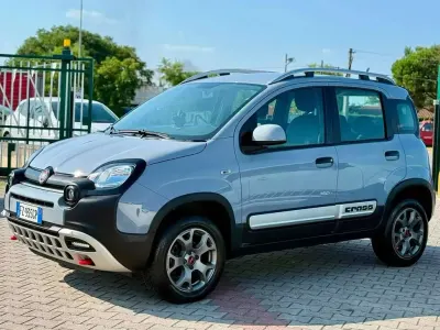 Usata Fiat Panda Cross Cross 86 CV (63 kW) 2020 Argento Utilitaria