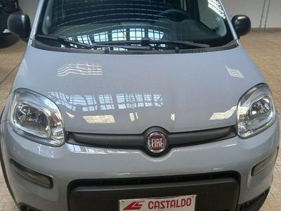 Usata Fiat Panda City Life 69 CV (50 kW) 2023 Grigio Berlina