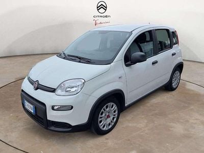 Usata Fiat Panda 69 CV (50 kW) 2024 Bianco Utilitaria