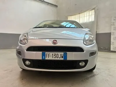 Usata Fiat Punto Easy 69 CV (50 kW) 2016 Argento Utilitaria