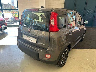 usata Fiat Panda Cross 1.0 FireFly S&S Hybrid City usato