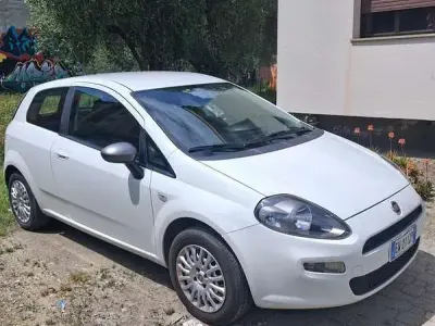Usata Fiat Punto Lounge 77 CV (56 kW) 2014 Utilitaria