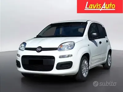 Nouvelle Fiat Panda Icon 65 ch (47 kW) 2026 Blanc Citadine