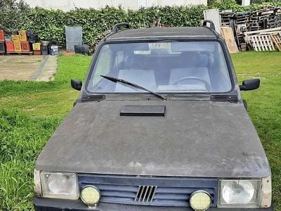 Usata Fiat Panda 4x4 50 CV (36 kW) 1996 Grigio Utilitaria