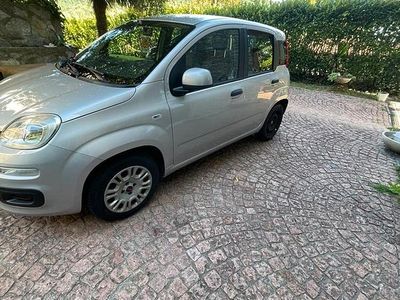 Usata Fiat Panda 2018 Utilitaria