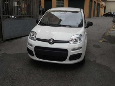 Nuova Fiat Panda Icon 69 CV (50 kW) 2025 Bianco Utilitaria