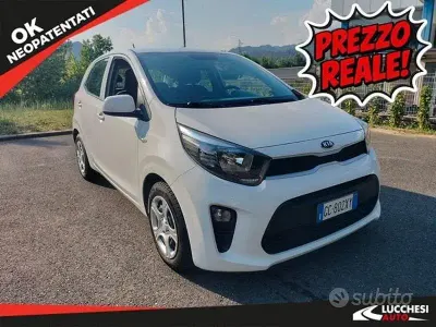 Usata Kia Picanto City 66 CV (48 kW) 2020 Bianco Utilitaria