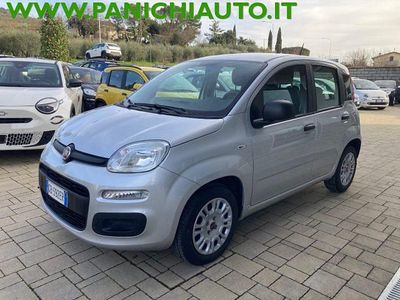 Usata Fiat Panda Easy 69 CV (50 kW) 2020 Grigio Utilitaria