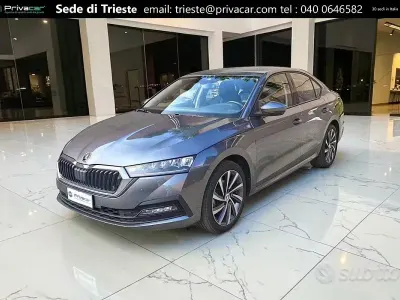 Usata Skoda Octavia Ambition 150 CV (110 kW) 2023 Grigio Berlina