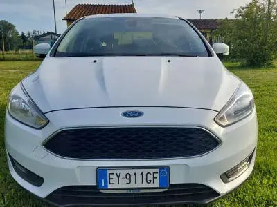Usata Ford Focus S 101 CV (74 kW) 2015 Bianco Berlina