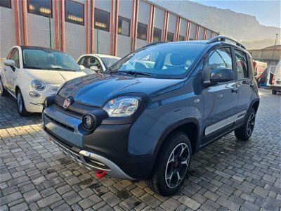 usata Fiat Panda Cross Panda 0.9 t.air t. 4x4 s